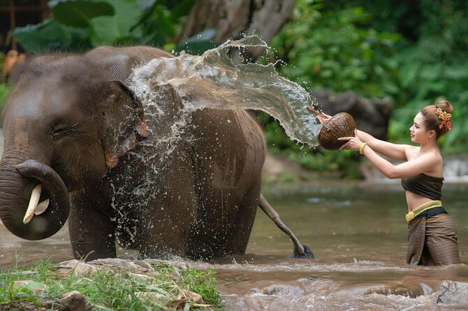 Chitwan National Park Tour - What the private format changes