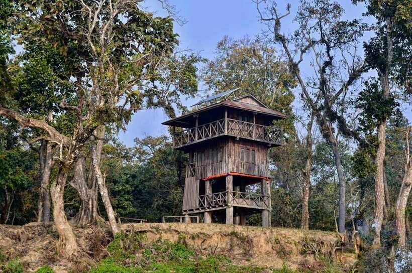 Chitwan National Park: Tower Night Stay with Nature Guide - Dinner in the jungle, then a simple night above ground