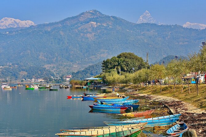 Classic Luxury Nepal Tour 7 Nights & 8 Days - Day 4: Jeep safari and canoe time in Chitwan