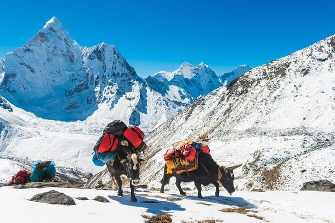 Dancing in the Manaslu Circuit Trek - Day 6: Shyala to Samagaun and Pungyen Gompa