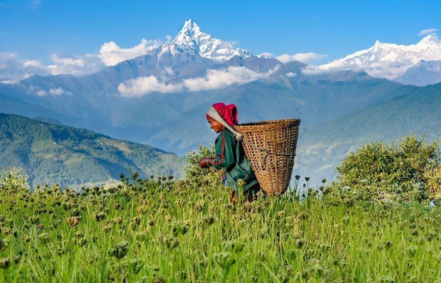 Day Hike at Annapurna Foothills - Kande to Australian Camp through the forest
