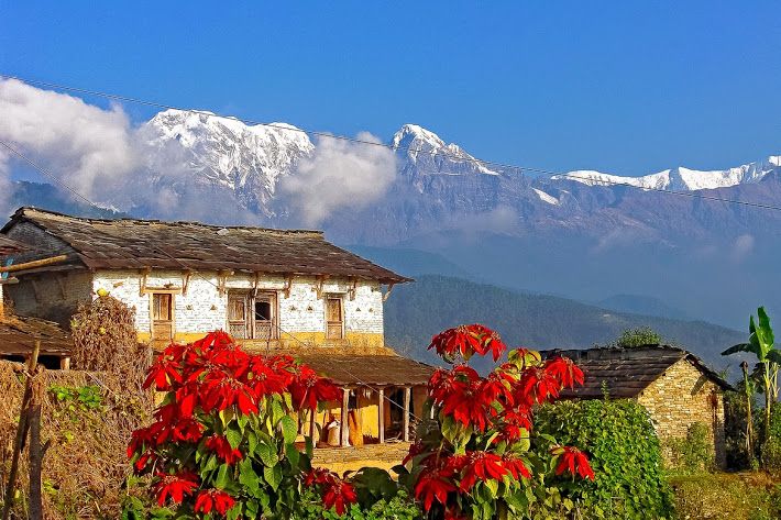 Day Hike at Annapurna Foothills - The descent from Dhampus to Phedi