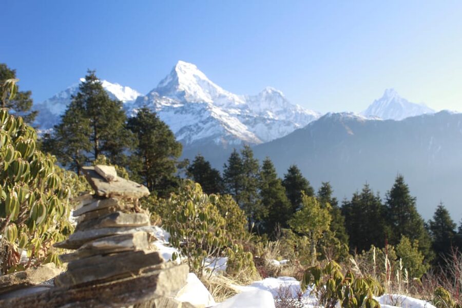 Discover Nepal: 12 Day Trekking and Wildlife Expedition - What the $742 price really covers
