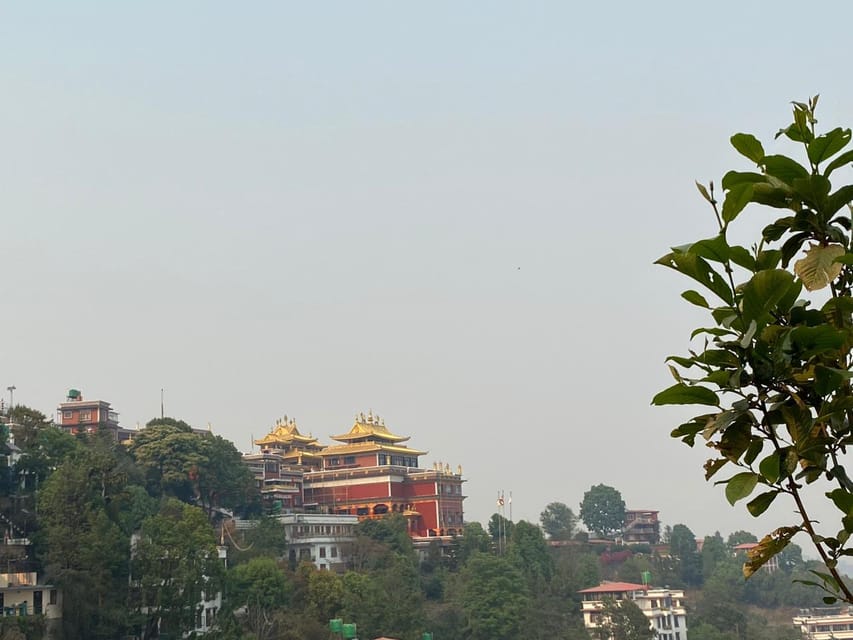 Discover Nepal: 12 Day Trekking and Wildlife Expedition - Day 5: Chitwan to Pokhara by road