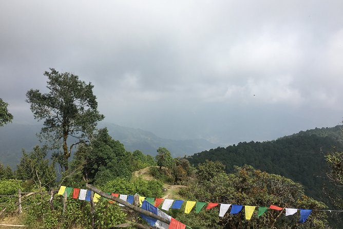 Easy Day hiking to Dhampus and Australian camp - Walking through the rain forest to Dhampus
