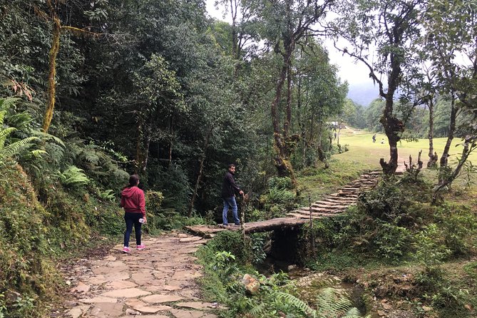 Easy Hiking to Dhampus Village from Pokhara - Key Things to Know Before You Go