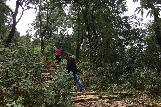 Easy Hiking to Dhampus Village from Pokhara - Walking Through Dhampus Village