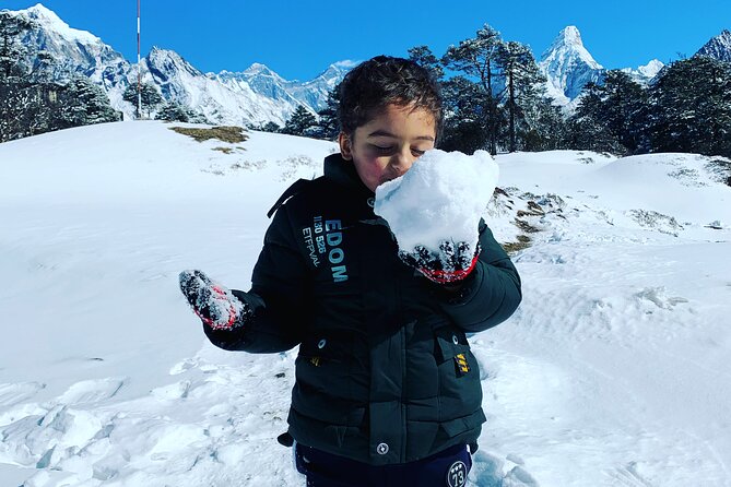 Everest Base Camp Helicopter Tour landing at Everest View Hotel - What this Everest helicopter tour really offers