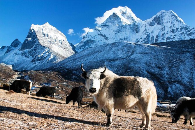 Everest Base Camp Trekking - Key things to know before you book