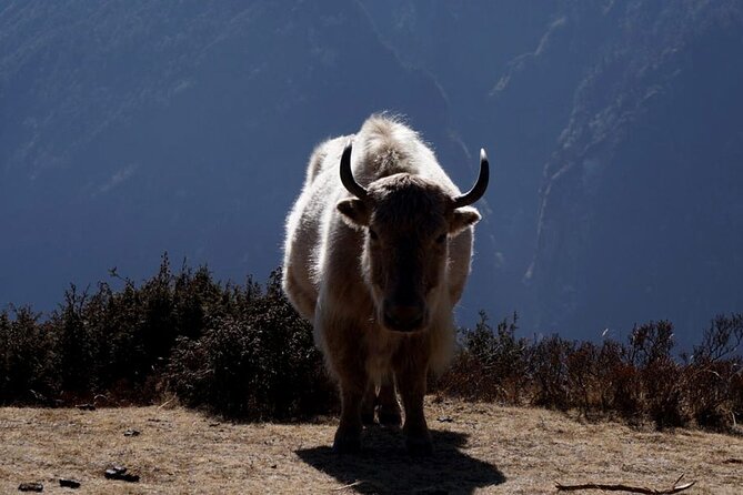 Everest Base Camp Trekking - 2025/2026 - Pangboche to Lobuche, about five hours