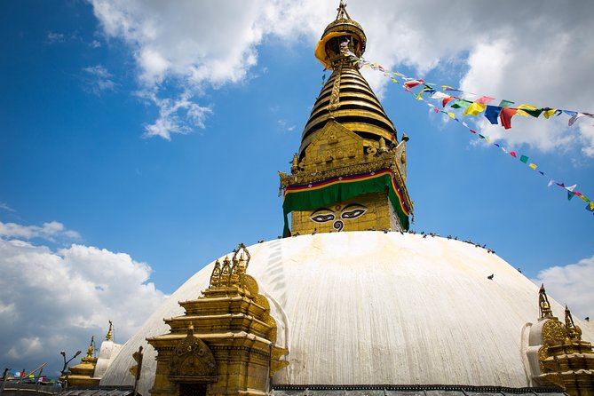 Experiential Tour of Nepal. - Chitwan brings wildlife into the plan