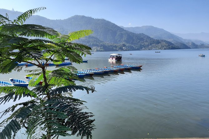 Explore 8 Lakes in Pokhara - Bird wetlands and the nature-focused side of the tour