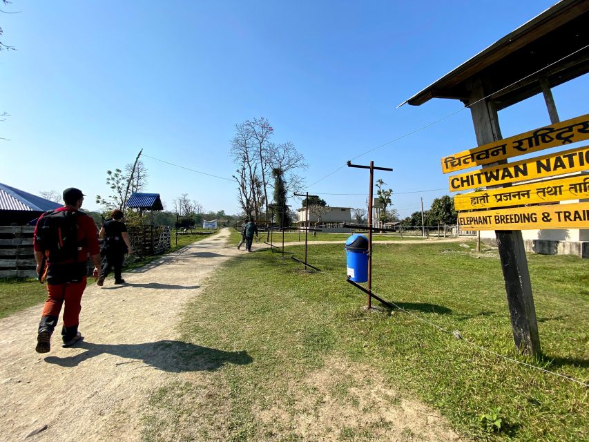 From Chitwan : Jeep Safari,Canoeing,Forest walk Day Tour - The morning jeep safari, three hours through Chitwan