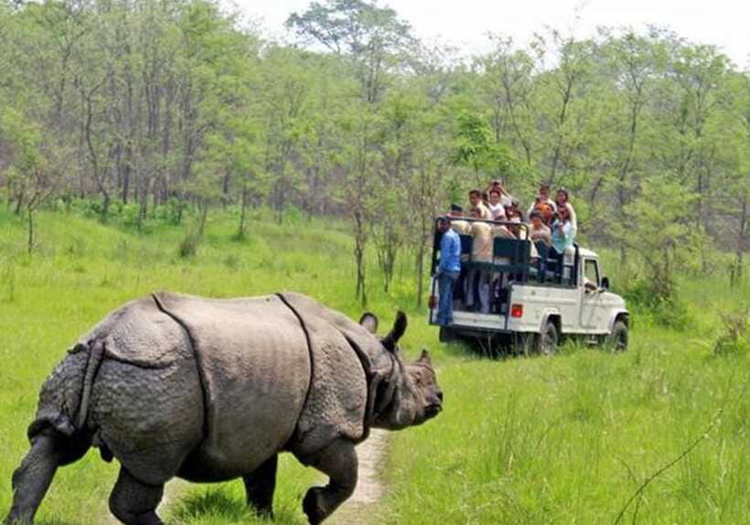 From Kathmandu: 1 Night 2-Day Chitwan Jungle Tour - Practical packing and comfort advice