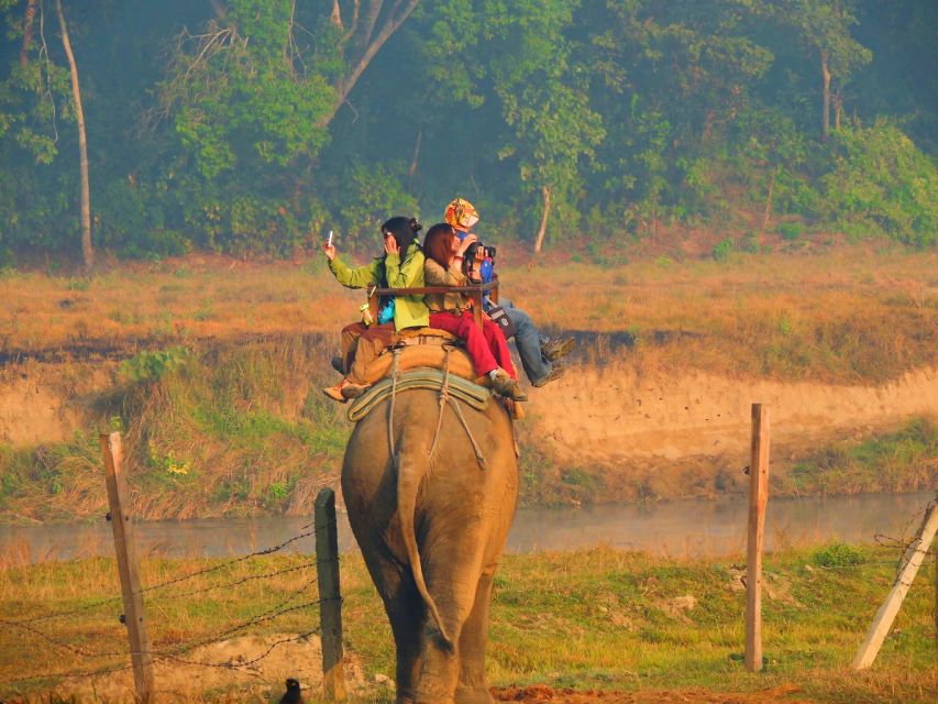 From Kathmandu: 3-Day Chitwan National Park & Elephants Tour - The hotel package and what $280 covers
