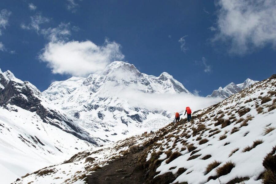 From Kathmandu: 5-Day ABC Trek with One-Way Flight - Day four: A long descent to Bamboo or Sinuwa