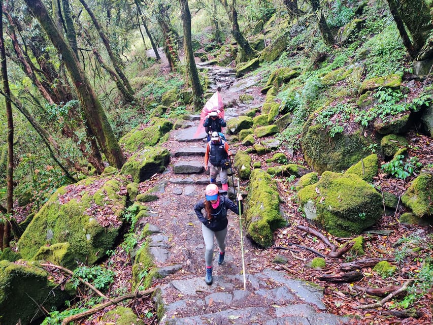 From Kathmandu: 5-Day ABC Trek with One-Way Flight - What the $414 price really covers