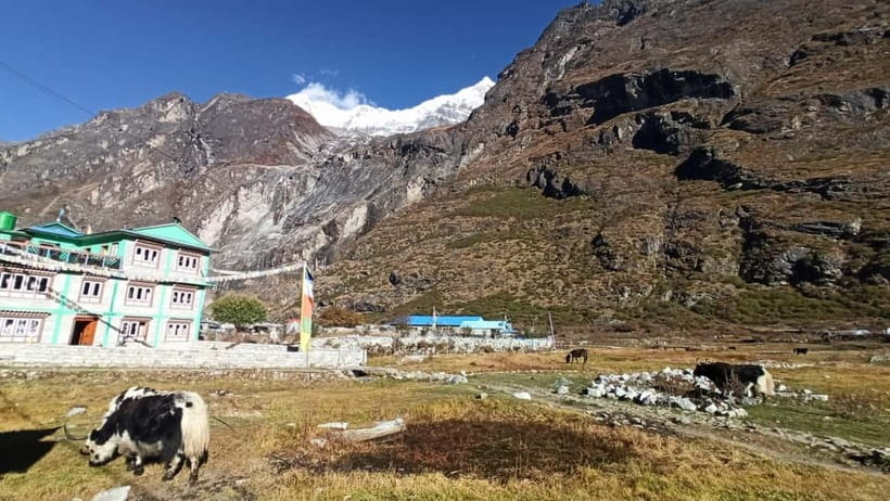 From Kathmandu: 5 Night 6 day Langtang valley trek - Day 6: Return to Syabrubesi and Kathmandu