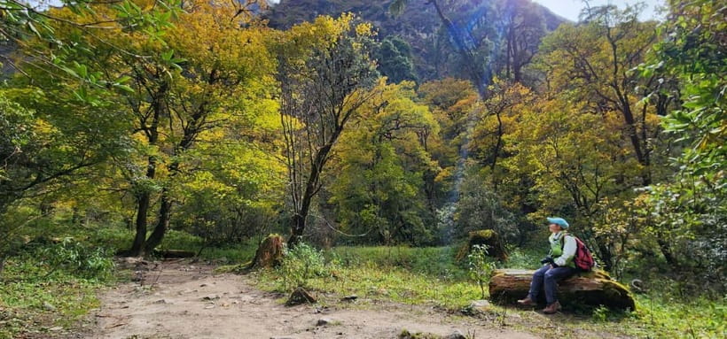 From Kathmandu: 5 Night 6 day Langtang valley trek - What the $274 price really covers