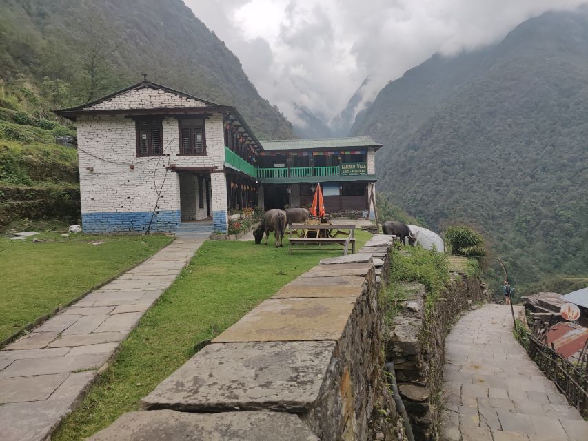 From Kathmandu: 7-Day Annapurna Basecamp Trek - Day 1: A gentle Kathmandu arrival