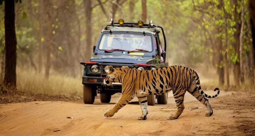 From Kathmandu: 7-Day Chitwan Safari & Pokhara Himalaya Tour - Day 7: The long return to Kathmandu