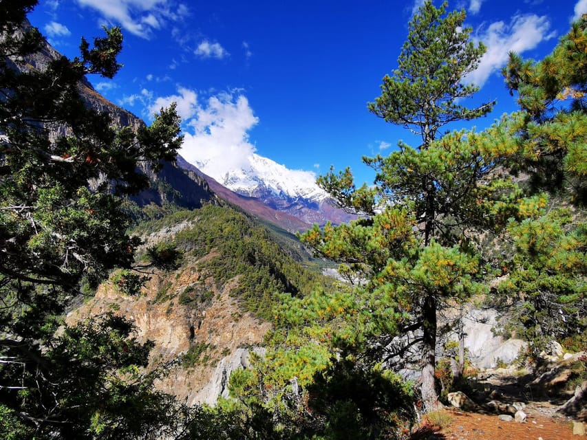 From Kathmandu Budget: 8 Day Private Annapurna Circuit Trek - Day Two: Bahun Danda or Chame to Pisang