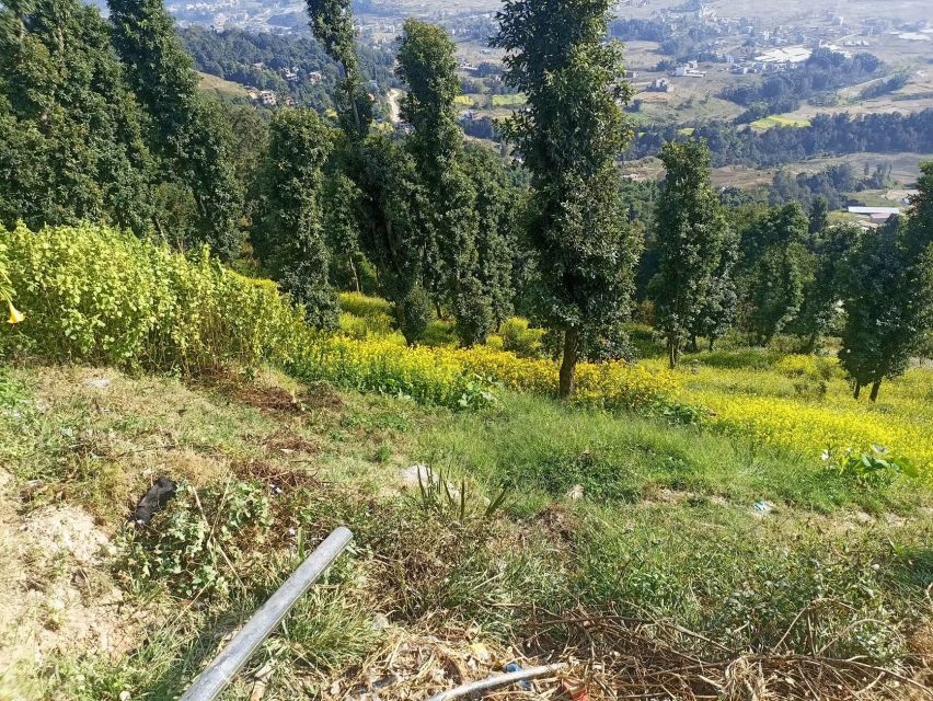 From Kathmandu: Everest View from Nagarkot & hike to Changu - Weather, Fitness, and Who Should Book