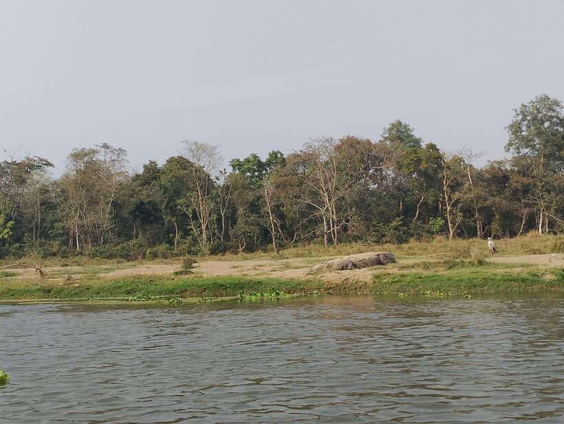 From Kathmandu or Pokhara 3 day Chitwan Tour with Rafting - Key points before you book