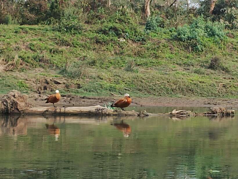 From Kathmandu or Pokhara 3 day Chitwan Tour with Rafting - What the $245 price really covers
