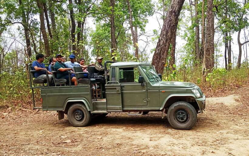 From Kathmandu/Pokhara: 2, 3, or 4-Day Chitwan Jungle Safari - The 4-day option: one night in the jungle tower
