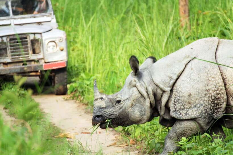 From Kathmandu/Pokhara: 2, 3, or 4-Day Chitwan Jungle Safari - How much value do you get for $35?