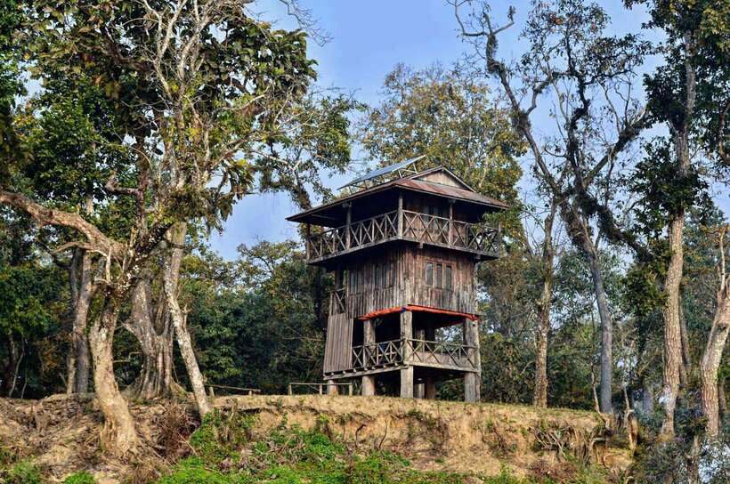 From Kathmandu/Pokhara: 2, 3, or 4-Day Chitwan Jungle Safari - Getting there from Kathmandu or Pokhara