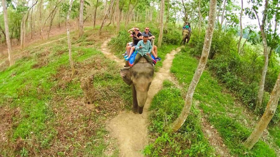 From Kathmandu/Pokhara: 3-Day All-Inclusive Chitwan Safari - Why Chitwan makes a good break from Kathmandu or Pokhara