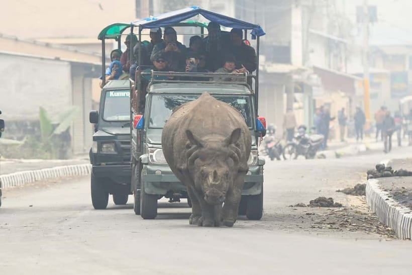 From Kathmandu/Pokhara: 3-Day Chitwan National Park Tour - Who will enjoy this Chitwan tour most