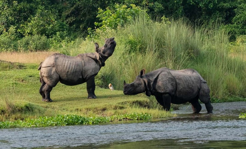 From Kathmandu/Pokhara: 3-Day Chitwan National Park Tour - Day 1: Arrival, lunch, sunset, and Tharu culture