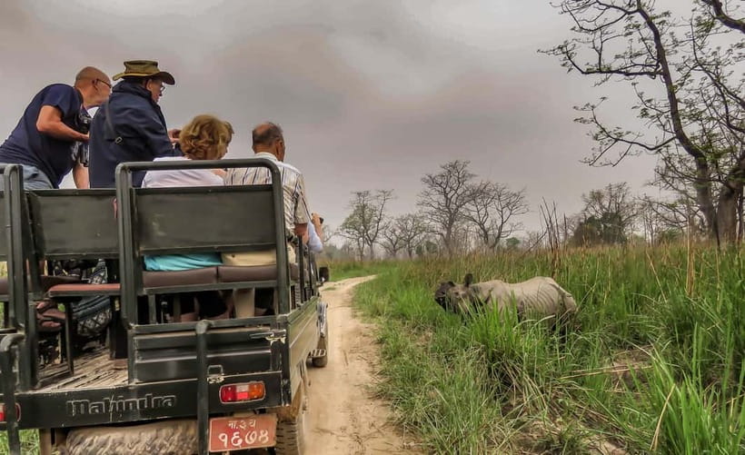 From Kathmandu/Pokhara: 3-Day Chitwan National Park Tour - Day 2 afternoon: Jeep safari through the park