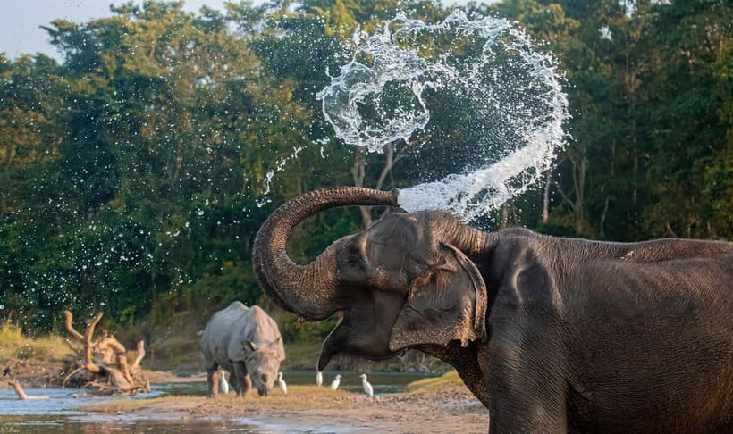 From Kathmandu/Pokhara: 3-Day Chitwan National Park Tour - Comfort, fitness, and what to pack