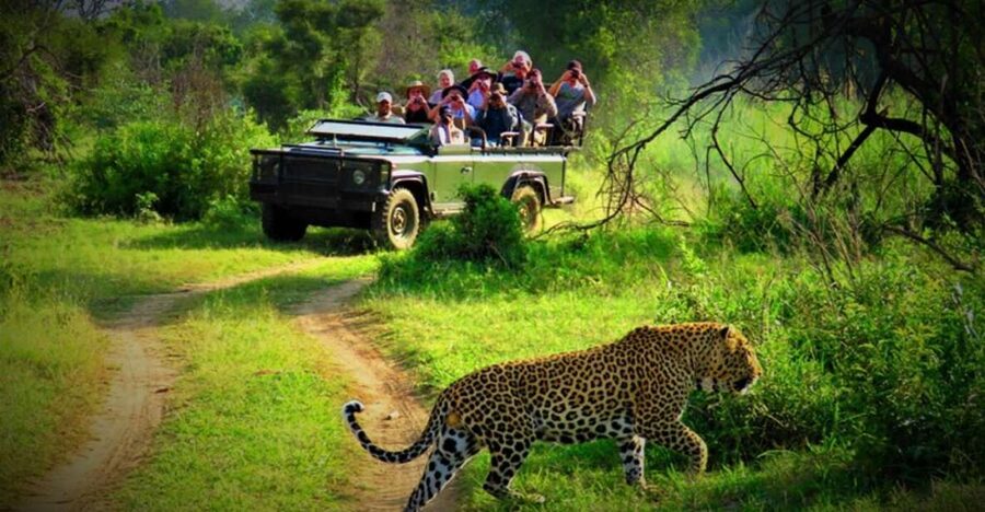 From Kathmandu/Pokhara: Private 3-Day Chitwan Safari Tour - From Kathmandu or Pokhara to Chitwan