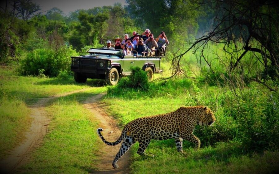 From Kathmandu/Pokhara: Private 3-Day Chitwan Safari Tour - Day Two: the main Chitwan jeep safari