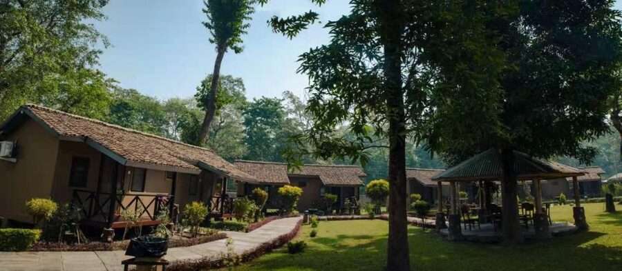 From Kathmandu/Pokhara: Private 3-Day Chitwan Safari Tour - What the $168 price really covers