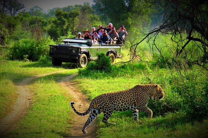 From Kathmandu: Private 3-Day Chitwan Safari Tour - Key points to know before booking