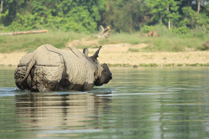 From Kathmandu: Private 3-Day Chitwan Safari Tour - Why this Chitwan trip works well in three days