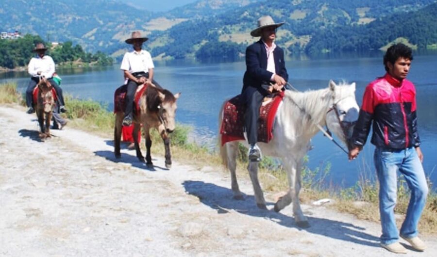 From Pokhara: 2.5 Hours Horseback Riding Adventure - Practical Details That Affect Your Day