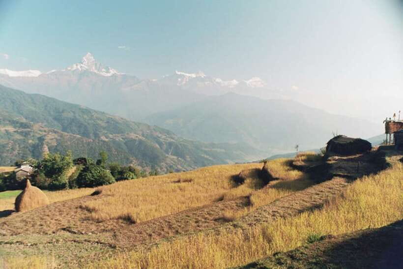 From Pokhara: 3 Day Dhampus-Sarangkot Trek - Key points at a glance