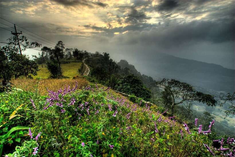From Pokhara: 3 Day Dhampus-Sarangkot Trek - Day two: the long walk to Sarangkot