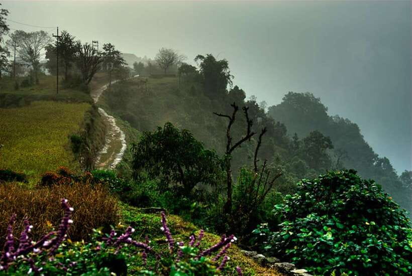 From Pokhara: 3 Day Dhampus-Sarangkot Trek - Who should book this trek?