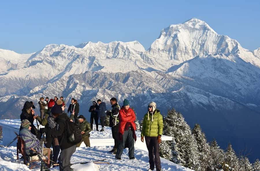 From Pokhara: 3-Day Ghorepani Poon Hill Trek with Guide - Day 2: Ulleri to Ghorepani through forest and villages
