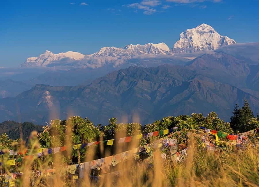 From Pokhara: 3-Day Ghorepani Poon Hill Trek with Guide - Guides are the strongest part of the experience