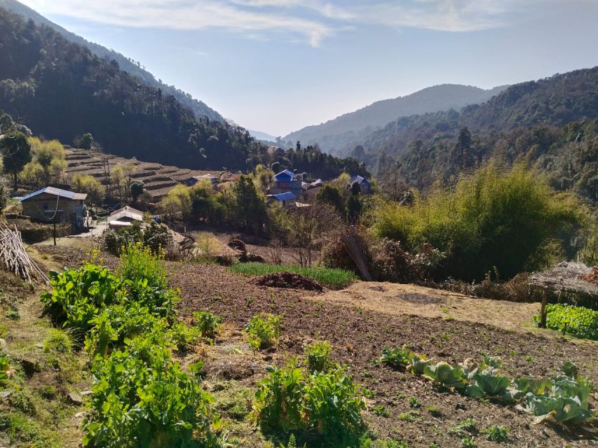 From Pokhara: 4-Day Annapurna and Poon Hill Himalayan Trek - What this four-day trek is really like