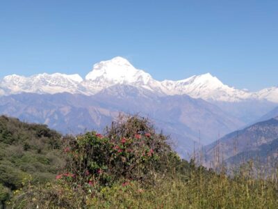 4-Day Annapurna and Poon Hill Himalayan Trek